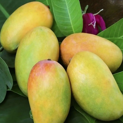 Kesar Mango 2.7-2.8 Kg - offer